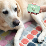 Personalised Pet Treat Keepsake Tins