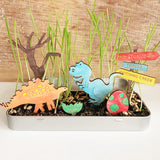 Make Your Own Dinosaur Garden