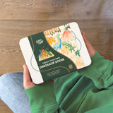 Make Your Own Dinosaur Scene Craft Kit