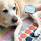 personalised pet treat keepsake tins